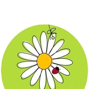 Meet your Posher, Aiman